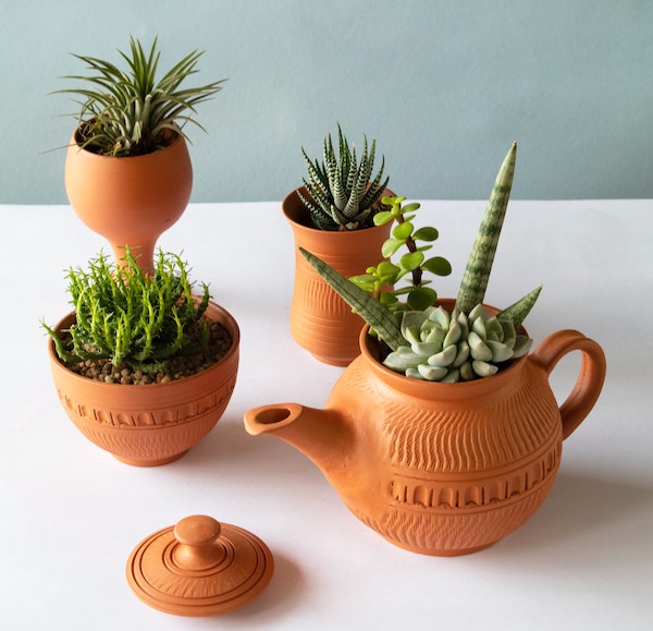 Succulents in terra cotta pots on a white table against a pale green bactround